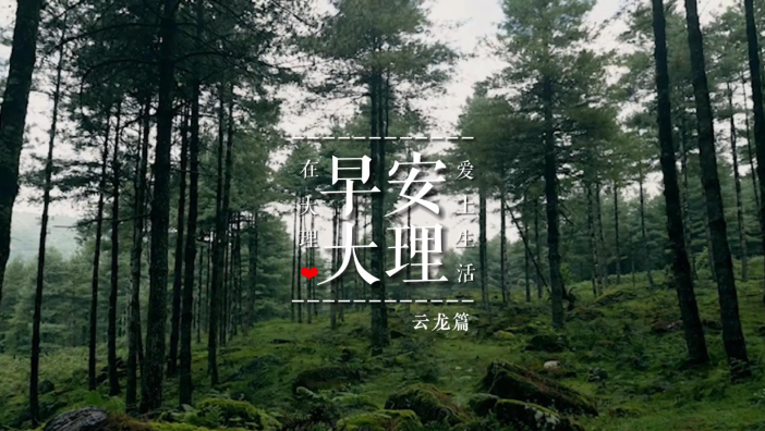 眼前的一帘绿意，跌进自然的鲜活里，宛如山野春色浸透着欢喜。#云龙漕涧林场 #在大理爱上生活 #早安大理