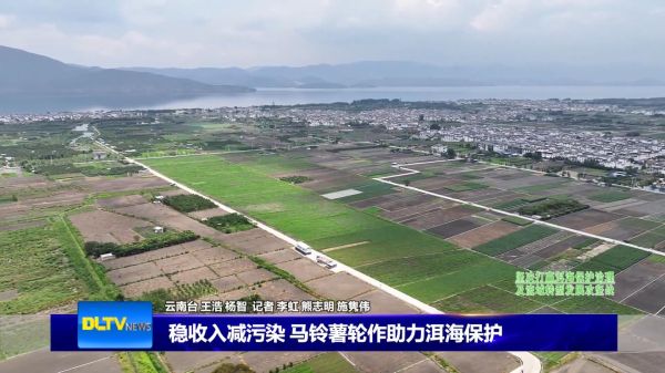 大理新闻测试