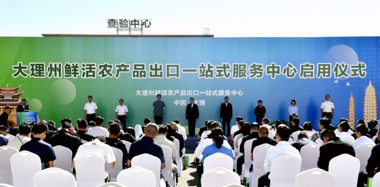 8月1日上午，大理州鲜活农产品出口“一站式”服务中心启用仪式在大理经开区上登工业园区举行。_proc_副本.jpg