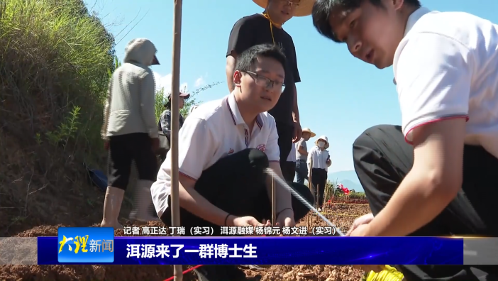 洱源来了一群博士生
