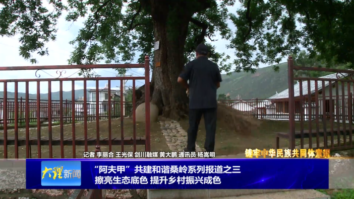 阿夫甲”共建和谐桑岭系列报道之三 擦亮生态底色 提升乡村振兴成色