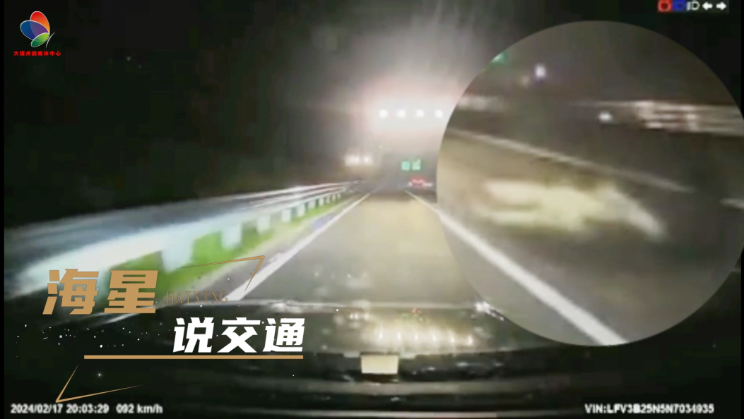 酒后驾车在赌命 生死如同是儿戏