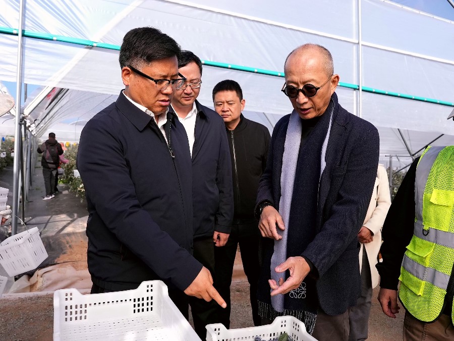 mmexport1735301065560_proc_副本.jpg