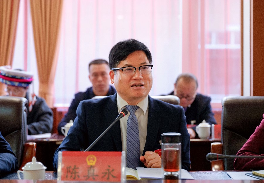陈真永参加弥渡代表团审议（1）_proc_副本.jpg