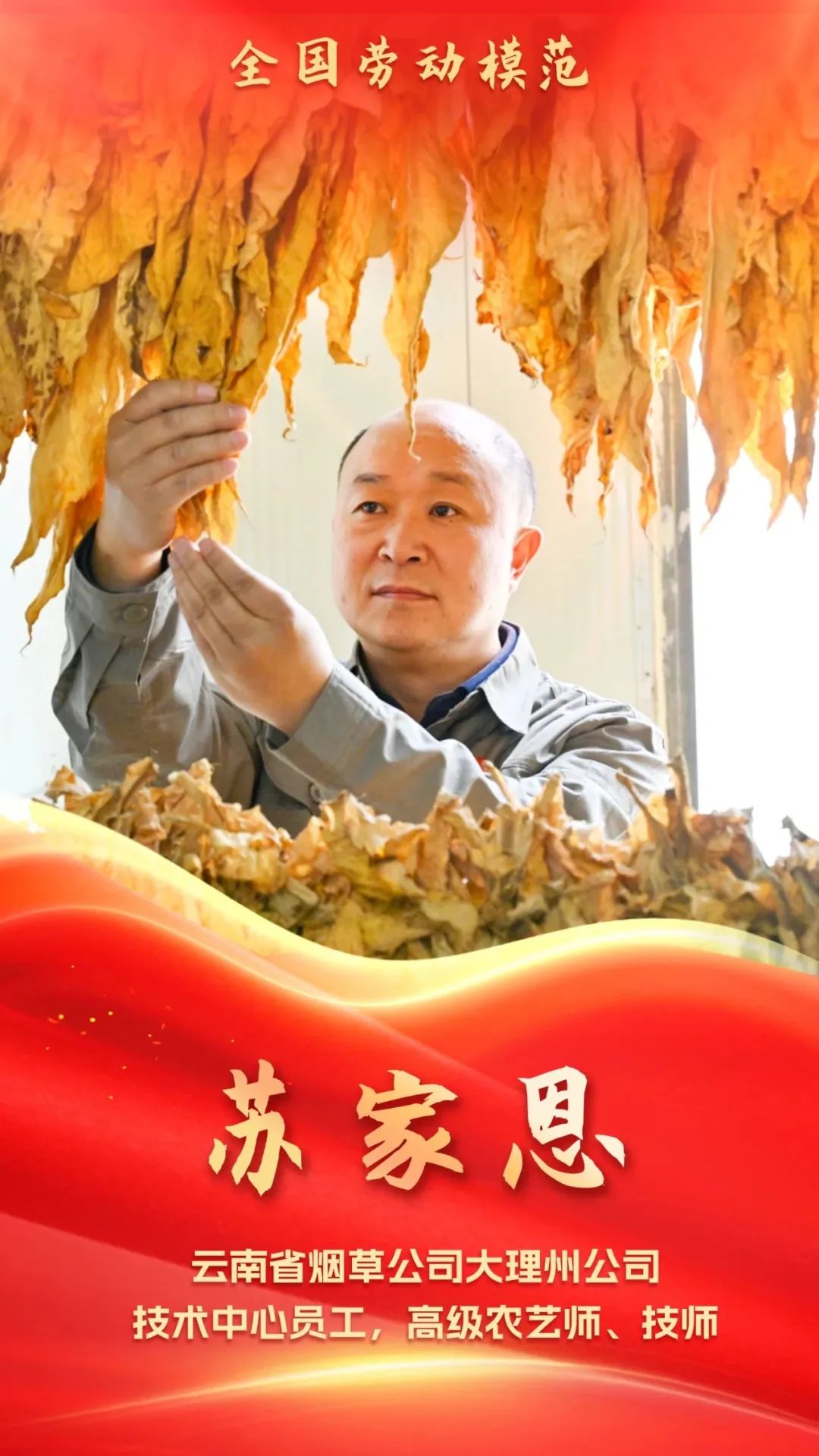 一辈子，一件事！“金叶匠人”苏家恩的科技助农之路→