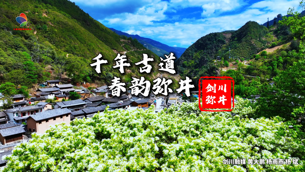 千年古道 春韵弥井 #五一假期 #在大理爱上生活 #弥井古村 #茶马古道