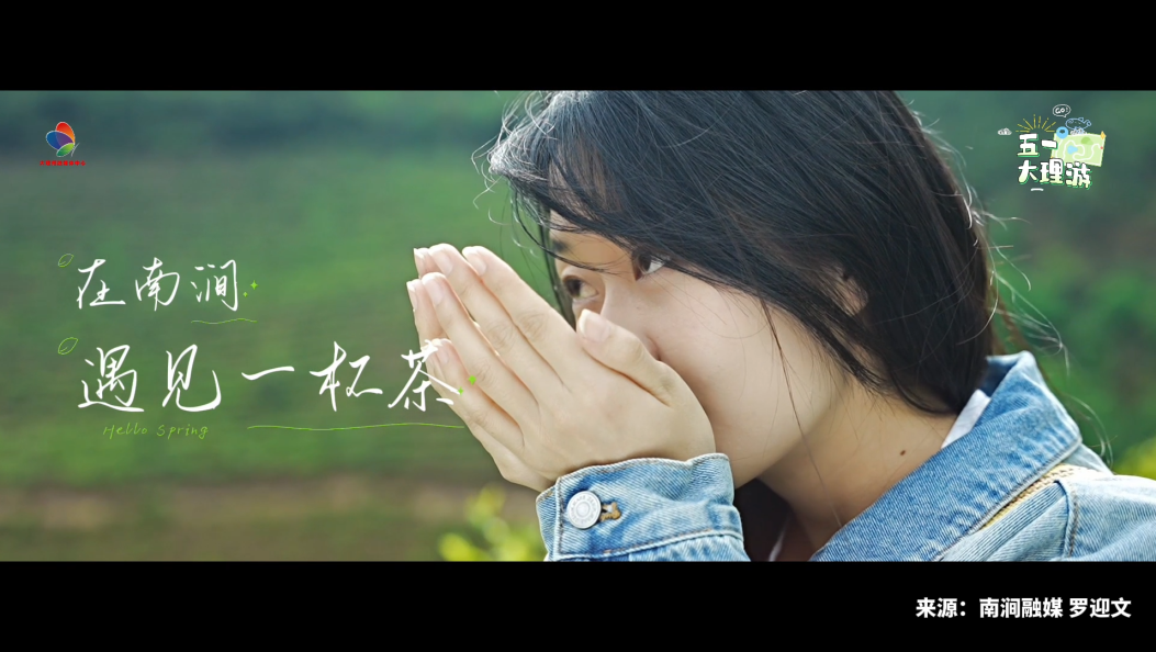 在南涧 遇见一杯茶 #五一假期 #无量山 #南涧白茶 #在大理爱上生活