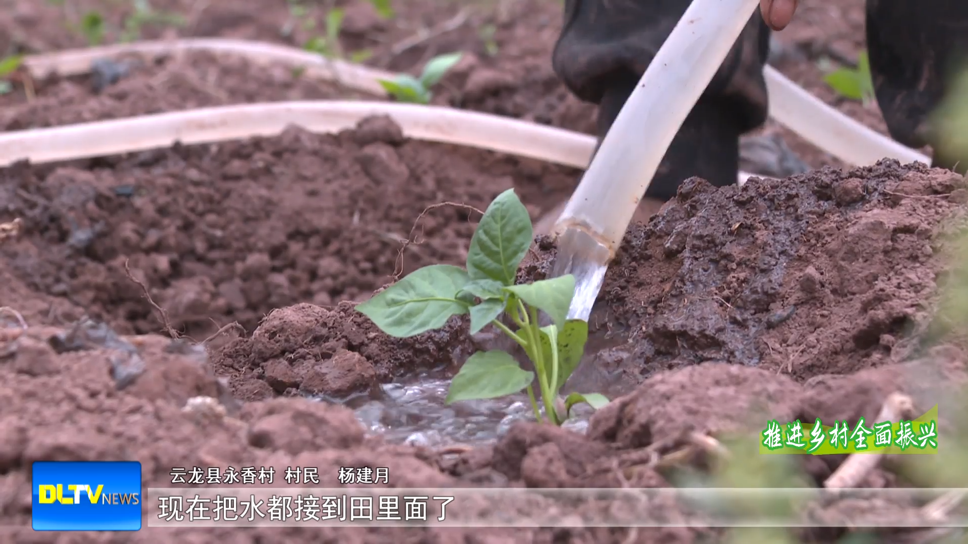 云龙永香村:从一水之治到一村之治(上)