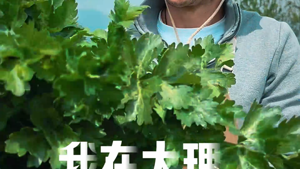 从北欧雪国到苍洱田园 | 我在大理种菜养娃 #我在大理 #在大理爱上生活#旅居大理