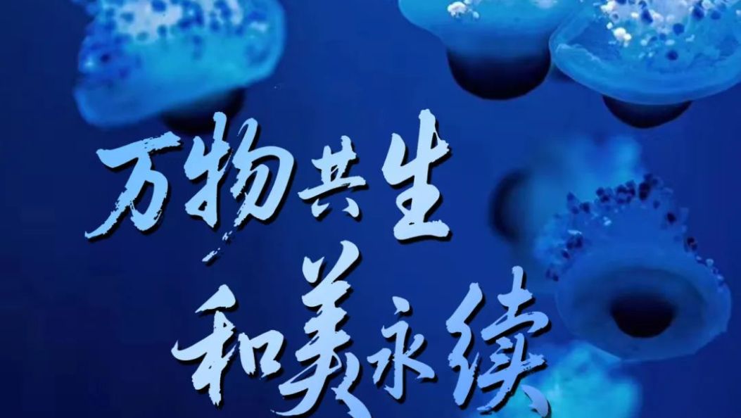 万物共生，和美永续 | 在大理爱上生活