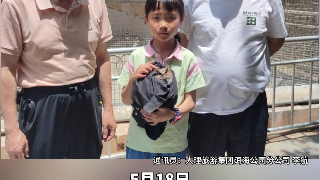 为她点赞！大理一小学生救下国家二级保护动物猫头鹰幼崽 #在大理爱上生活 #生物多样性 #野生动物保护 #身边的榜样