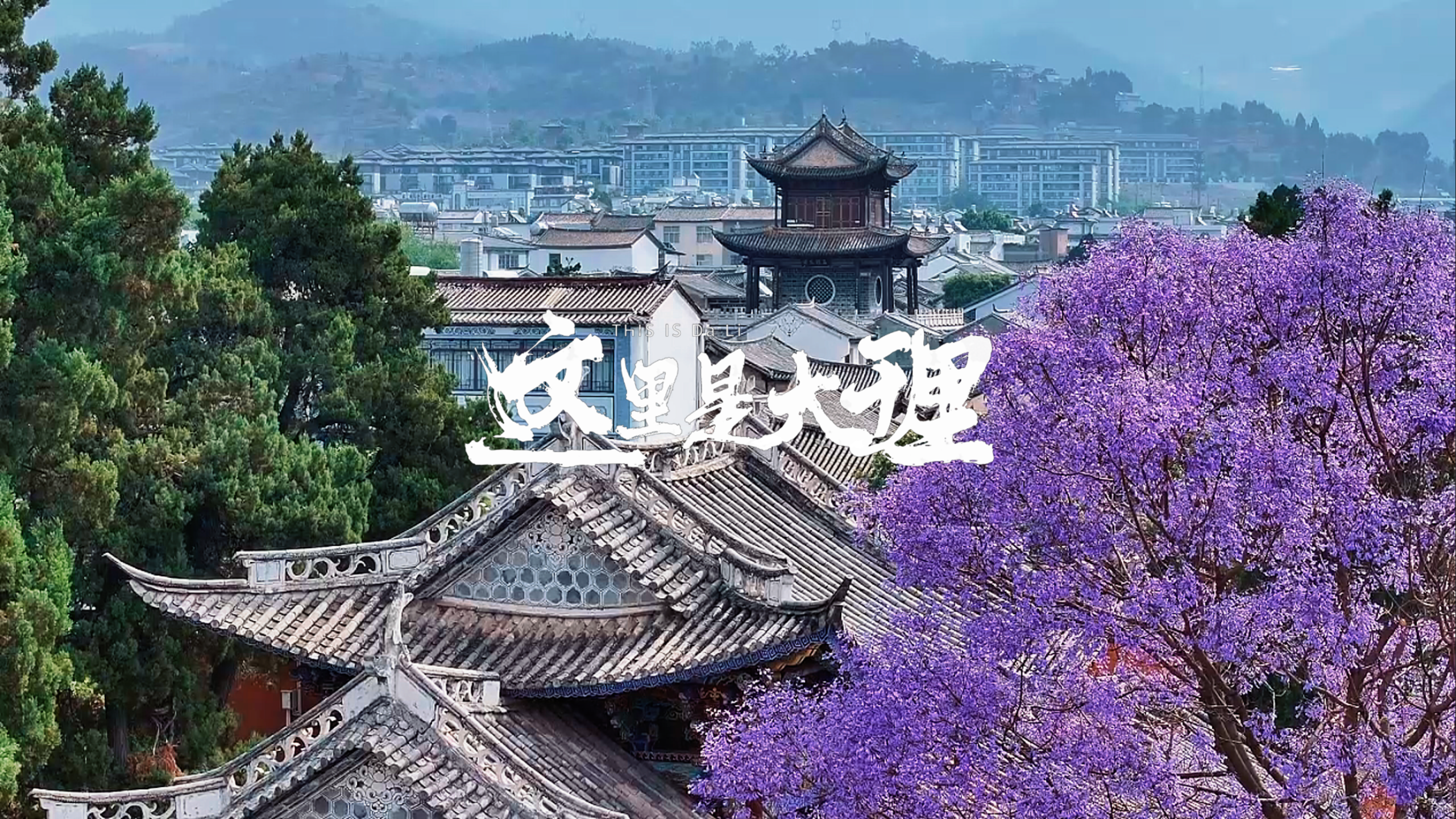 #在大理爱上生活 在巍山，偷一段慢时光——市井烟火里藏着最暖的《小美满》#这里是大理#大理音乐季#人间烟火在巍山
