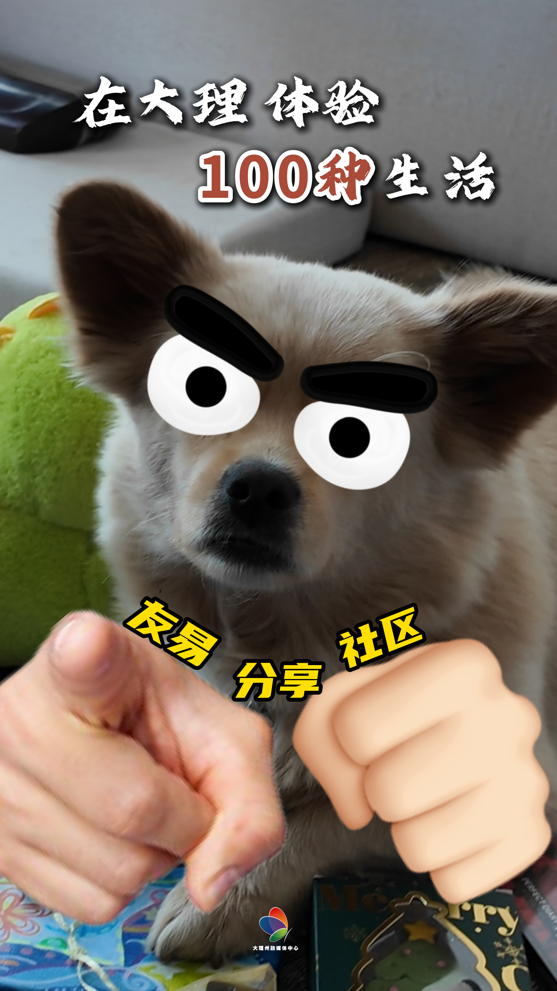 在大理体验一百种生活 —友易分享社区#在大理爱上生活#我在大理#旅居大理品味乡愁