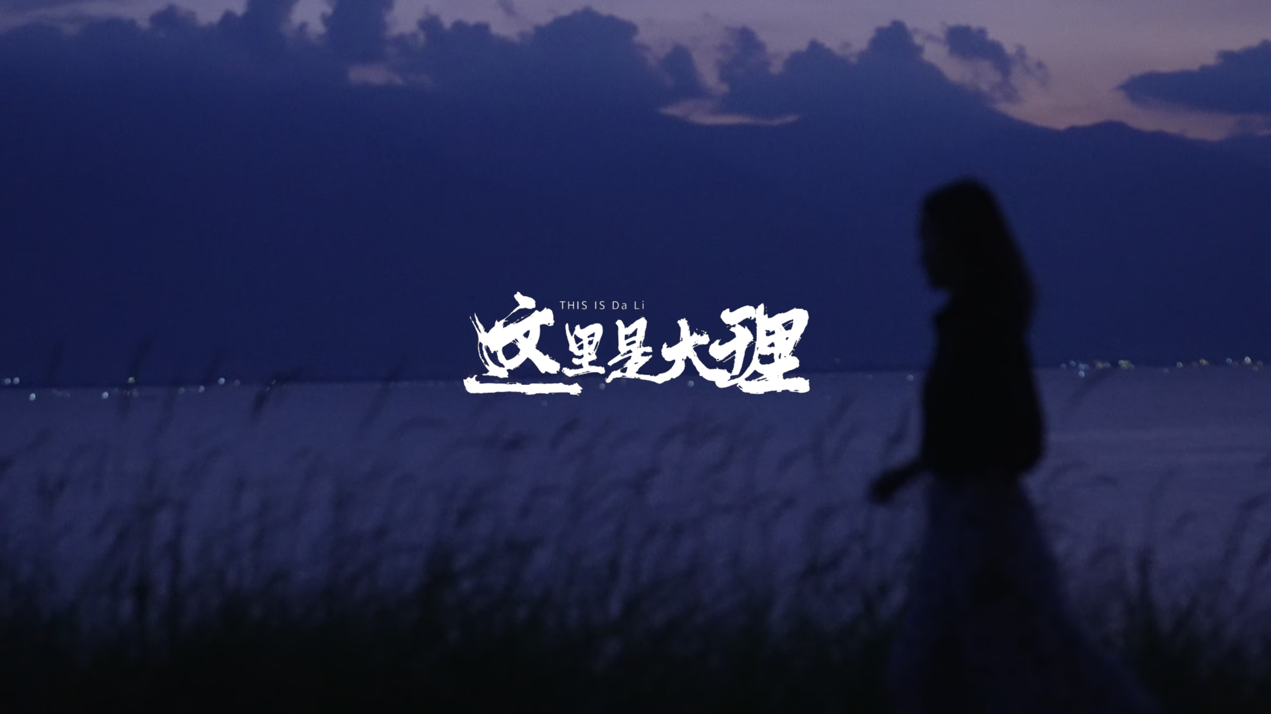 #在大理爱上生活 洱海晚霞坠入暮霭，蓝调梦初醒。#这里是大理 #旅居大理品味乡愁 #洱海#大理音乐季