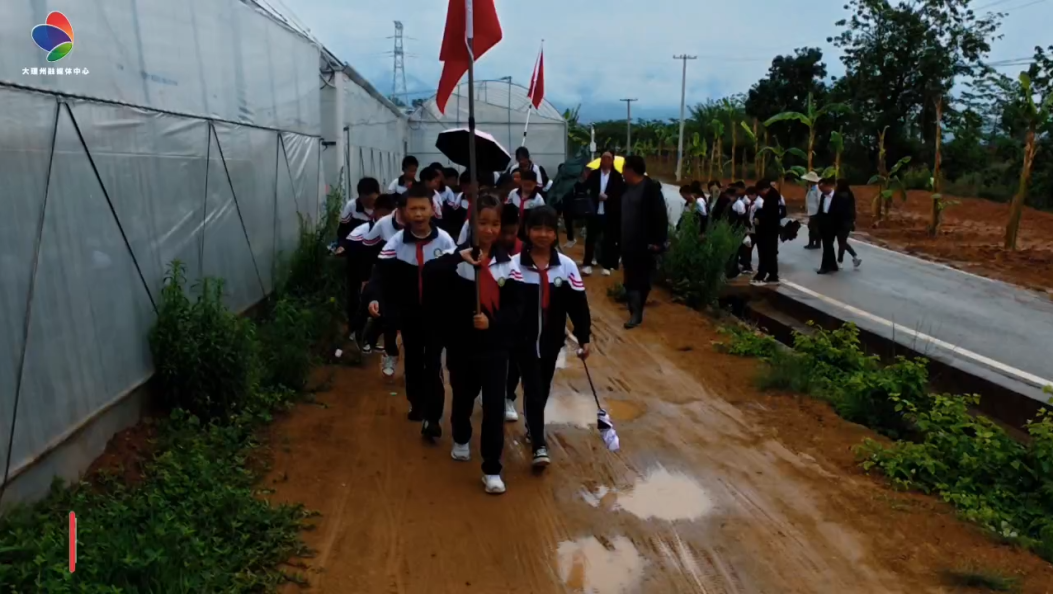 大理这个小学，“六一”上了一堂别样的思政课#大理 #文明新风拂白州