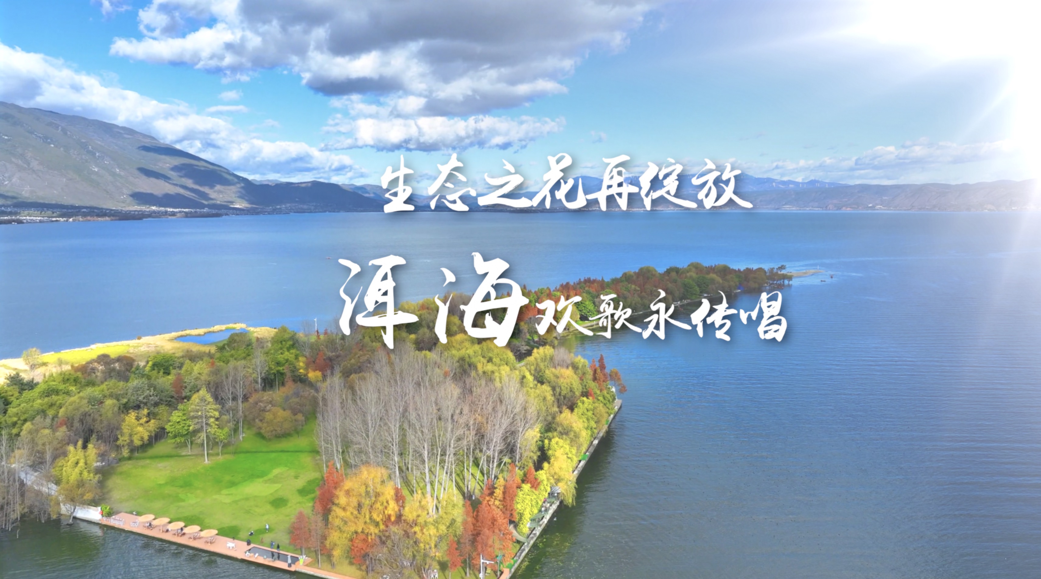 生态之花再绽放 洱海欢歌永传唱 #生态环境日 #美丽中国我先行 #洱海 #在大理爱上生活