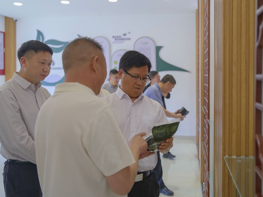 6月5日，陈真永在剑川县云南滇本草药业有限公司调研中药材产业发展情况。_proc.jpg