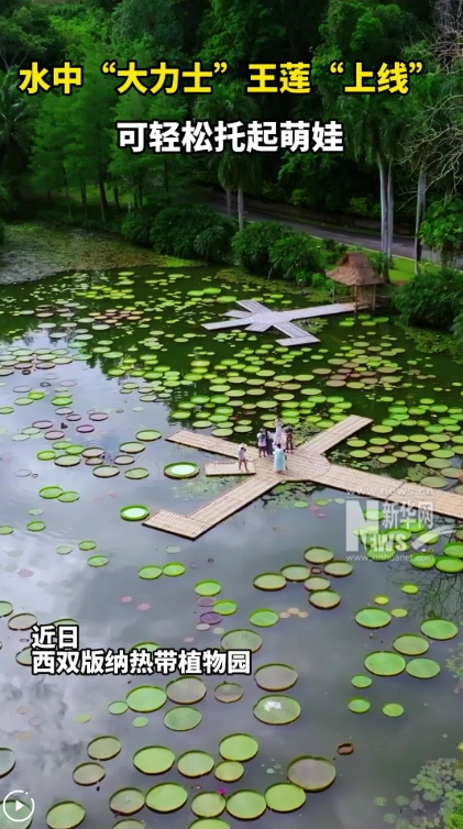 微信截图_20250610150742.png