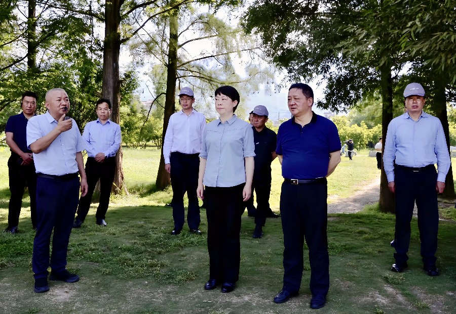 图一：6月13日，丽江市党政代表团到洱海生态廊道，就洱海保护、生态治理等方面考察交流_proc_副本.jpg