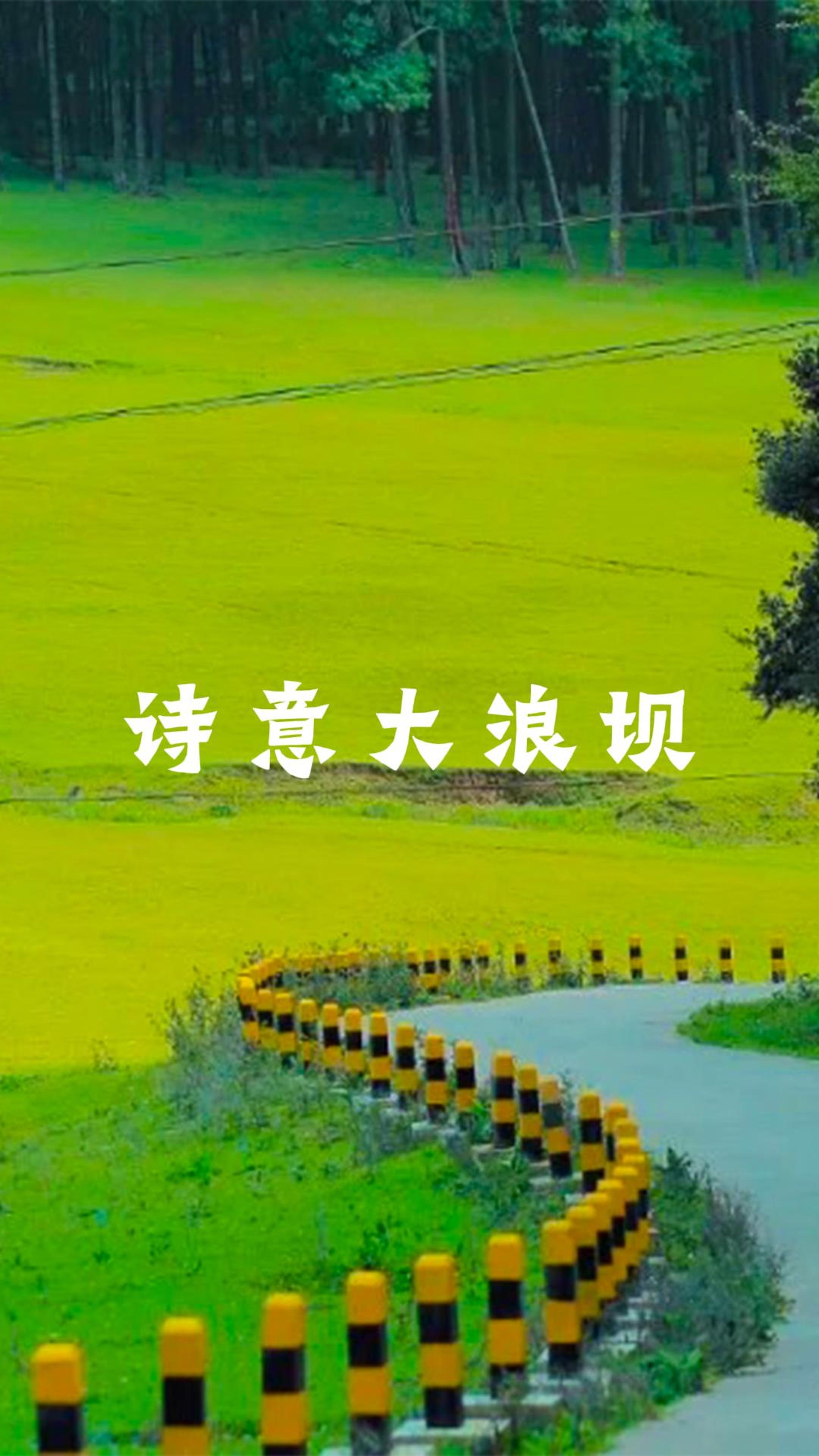 #在大理爱上生活 大理不止有风花雪月，还有大浪坝的 “绿野情书”#这里是大理 #旅居大理品味乡愁  #阅读大理