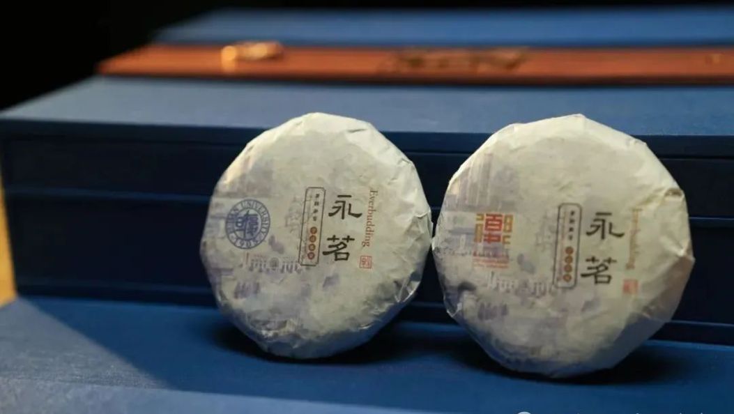 复旦的浪漫！120周年特别版录取通知书里藏着“离天空最近的茶”永茗→