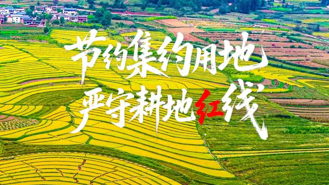 全国土地日 | 珍惜土地资源，共建美丽家园~