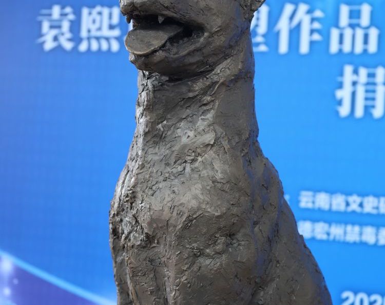 缉毒功勋犬“极君星”雕塑在瑞丽揭幕