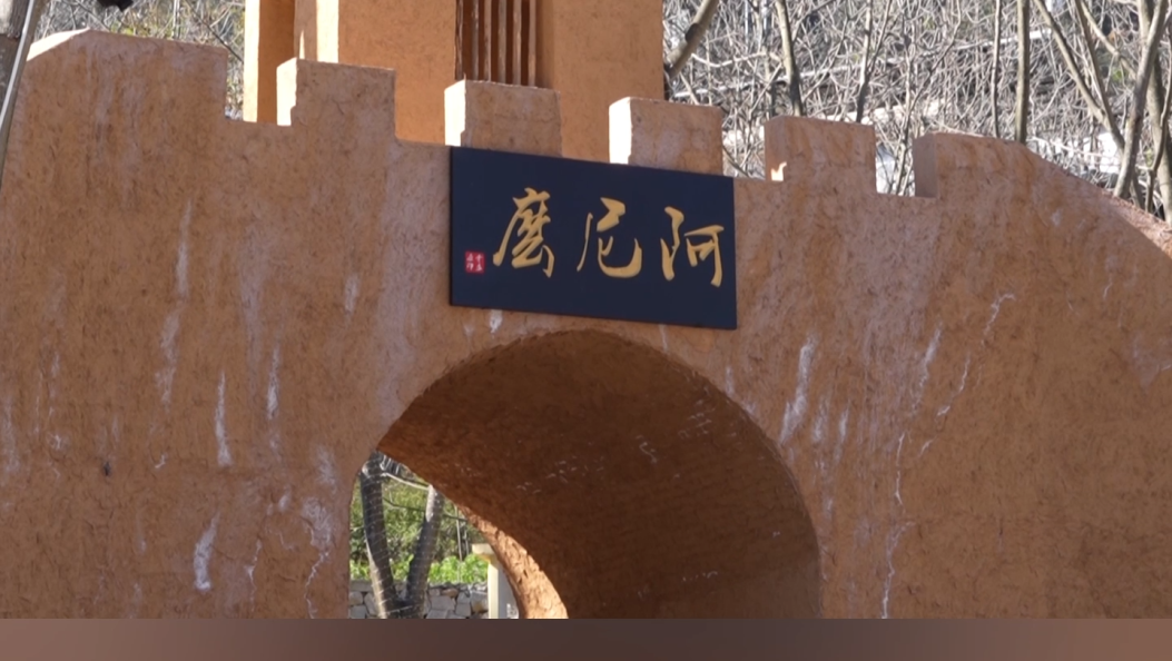 “模式好、业态新、带富强。”省委书记点赞阿尼么村！#在大理爱上生活 #乡村振兴 #脱贫攻坚 #阿尼么村