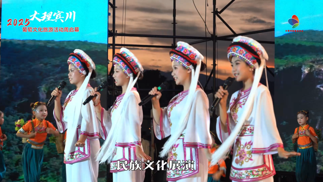 2025·大理宾川葡萄文化旅游活动周启幕 #在大理爱上生活 #宾川葡萄文化旅游节 #大理文旅 #文化旅游