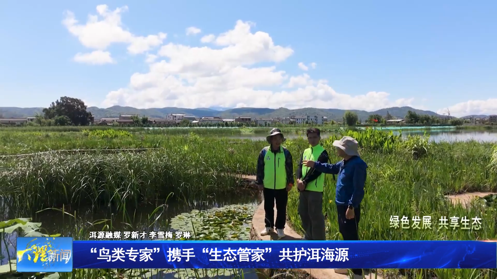 “鸟类专家”携手“生态管家”共护洱海源 