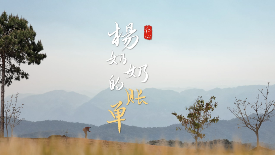 致敬！杨奶奶的账单——永平东庄杨连翠深山医者记  #庆祝中国共产党成立104周年 #大理 #杨连翠 #身边的榜样