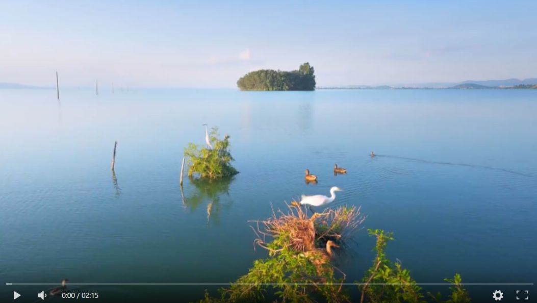 美好生活在云南｜滇池岸畔夏意浓，鸟翔草丰入画来