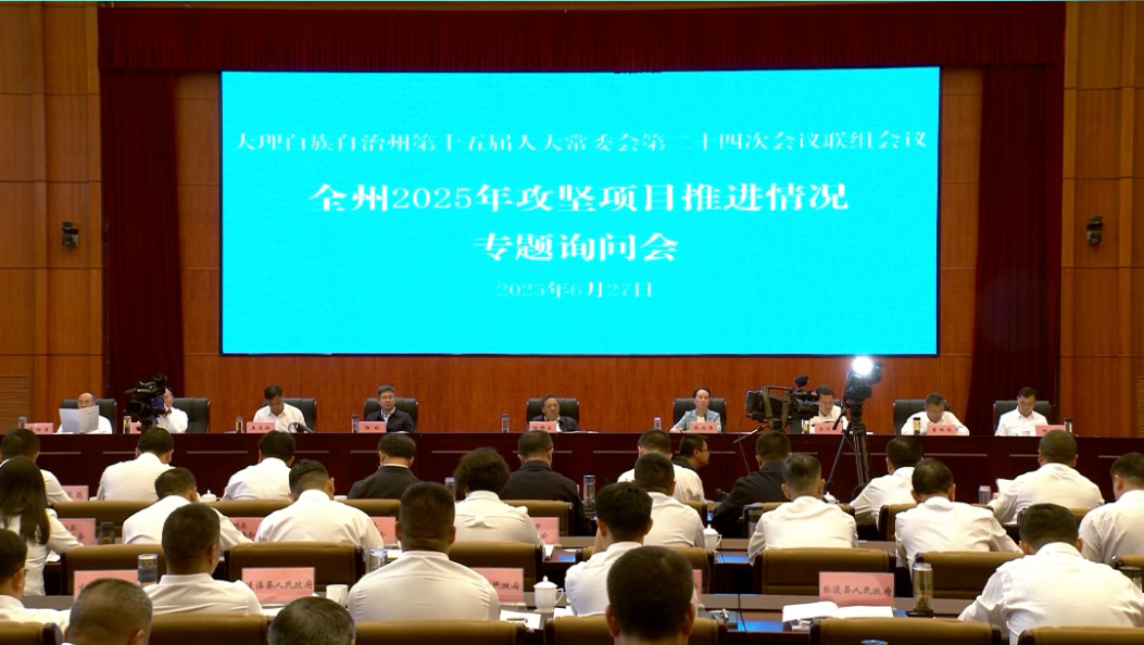 大理州人大常委会专题询问-盯紧80亿元综合交通投资目标 #大理人大