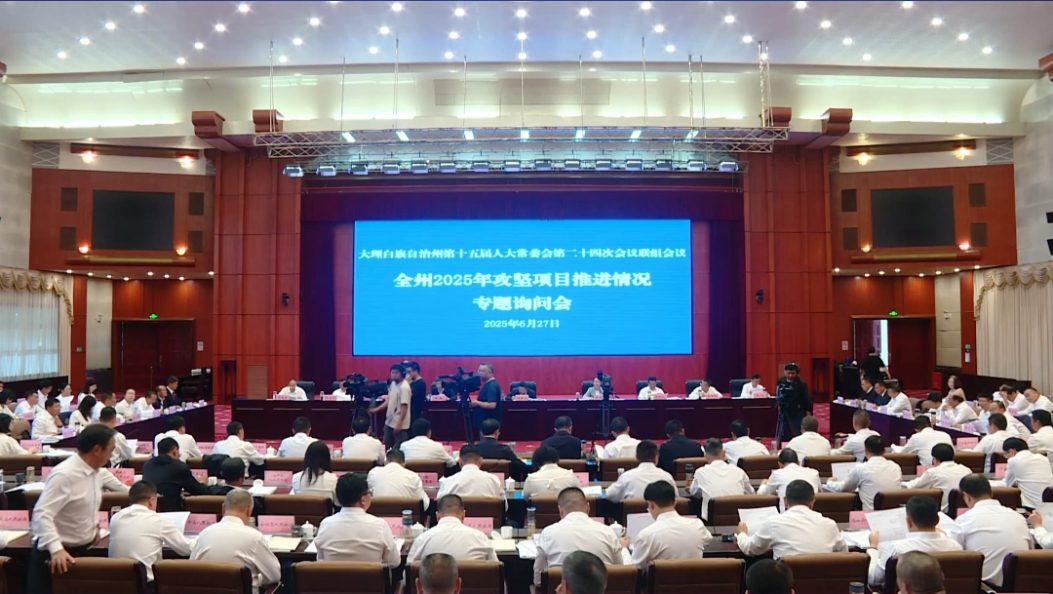 州人大常委会委员直问：1至5月全州能源以外工业投资下滑45.7%，如何破局？#大理人大