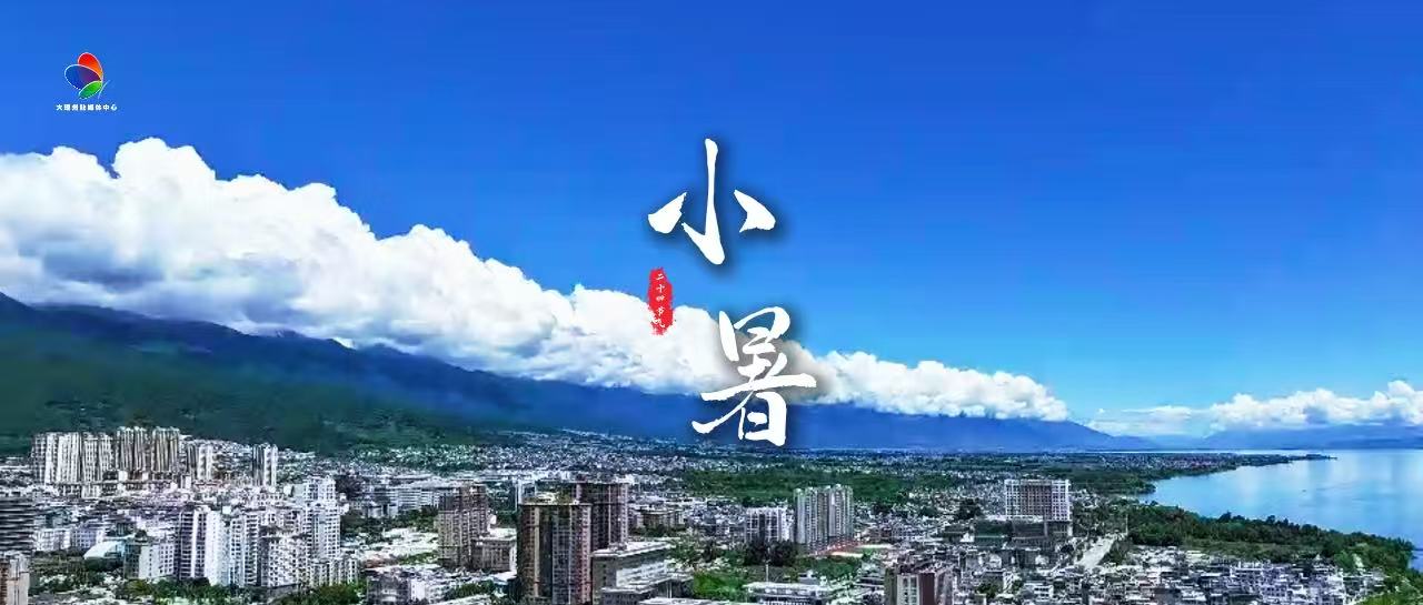 #在大理爱上生活 倏忽温风至 因循小暑来#这里是大理 #旅居大理品味乡愁  #节气小暑