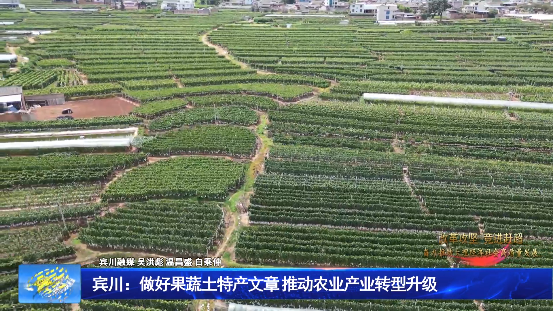 宾川：做好果蔬土特产文章 推动农业产业转型升级