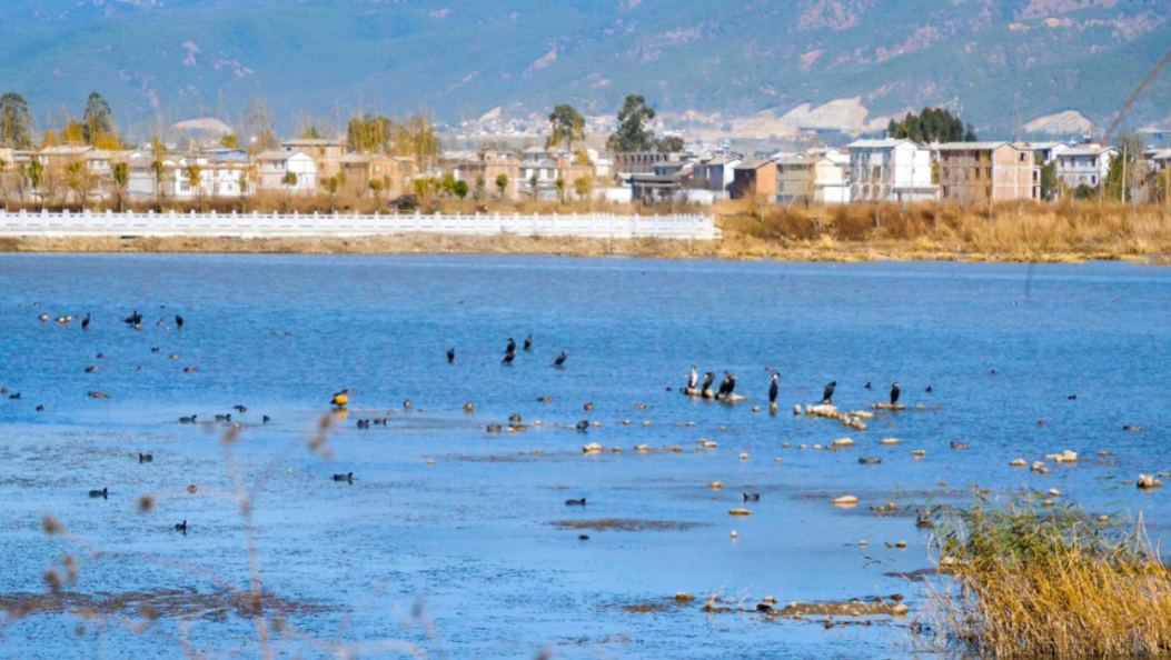 即将开跑！2025大理乡愁马拉松年度接力赛（鹤庆站）等你来战→