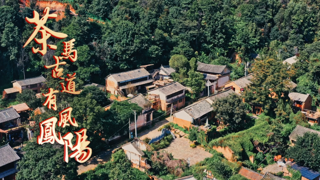 凤阳邑