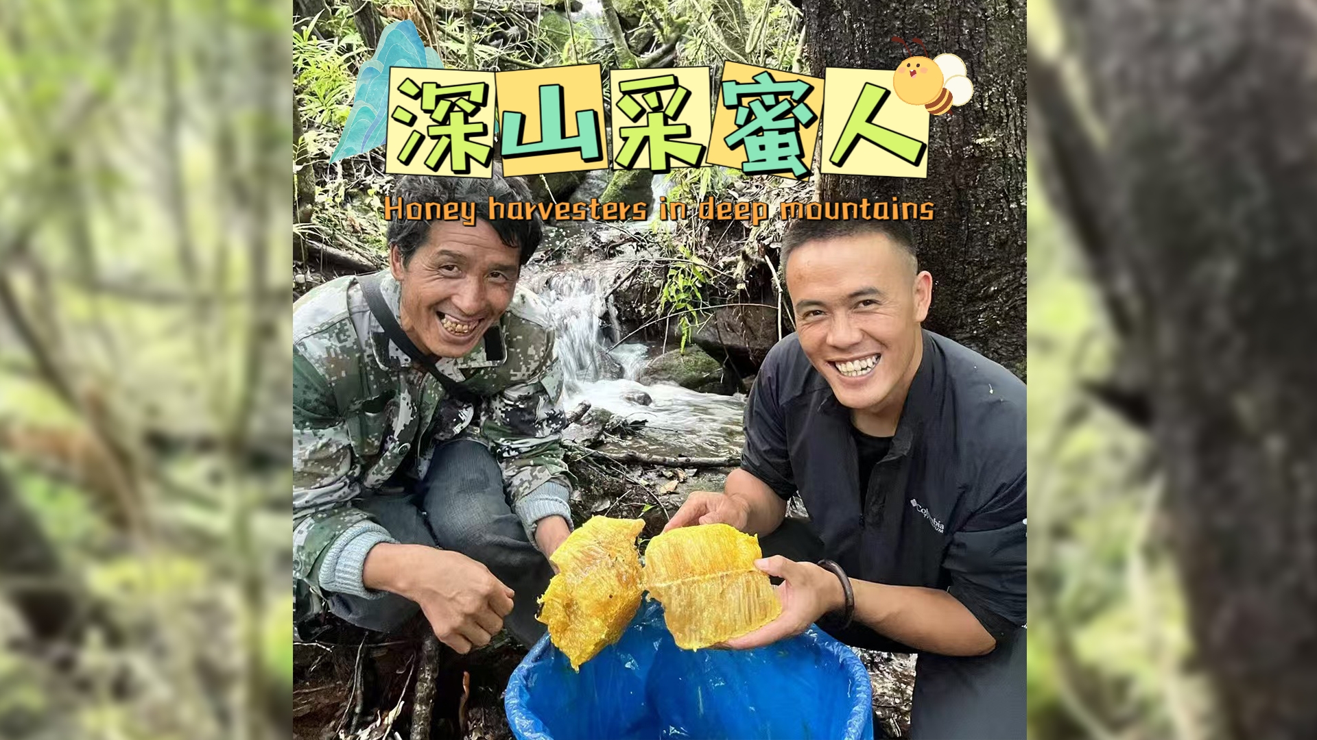 记者带你去云龙深山采野生悬崖蜜，了解采蜜人的故事。 #云龙 #野生蜂蜜 #在大理爱上生活