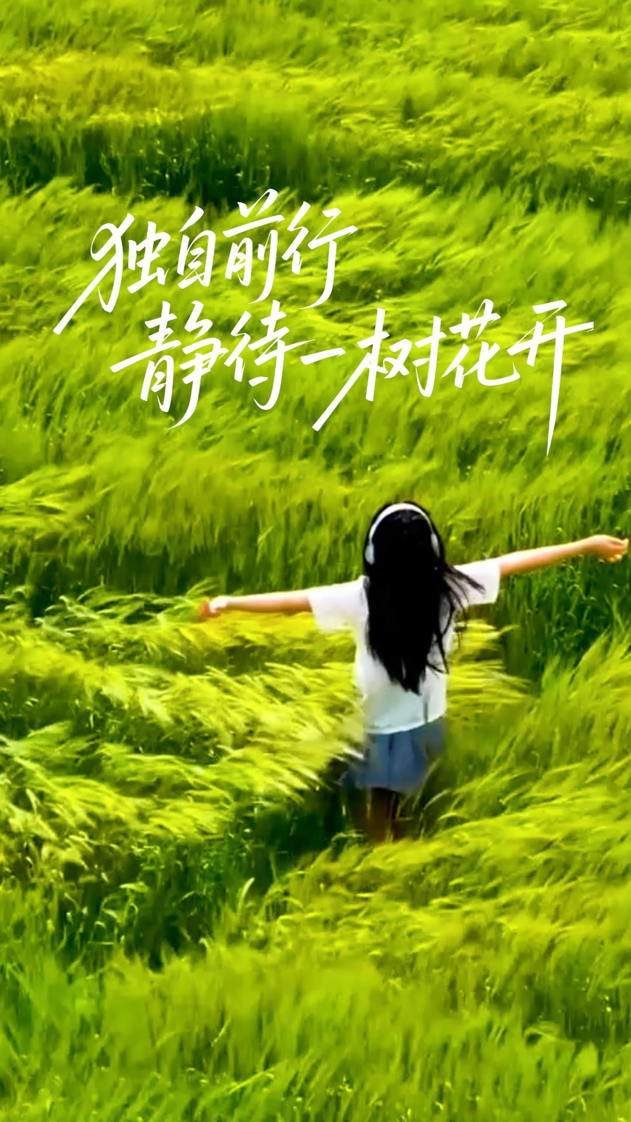 #在大理爱上生活 心怀热爱 静待一树花开#这里是大理 #旅居大理品味乡愁  #阅读大理