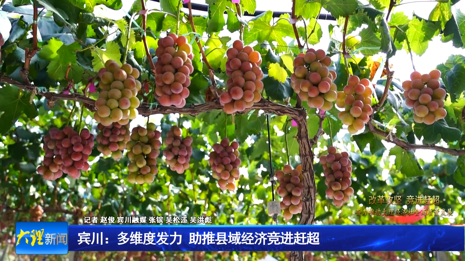  宾川：多维度发力 助推县域经济竞进赶超
