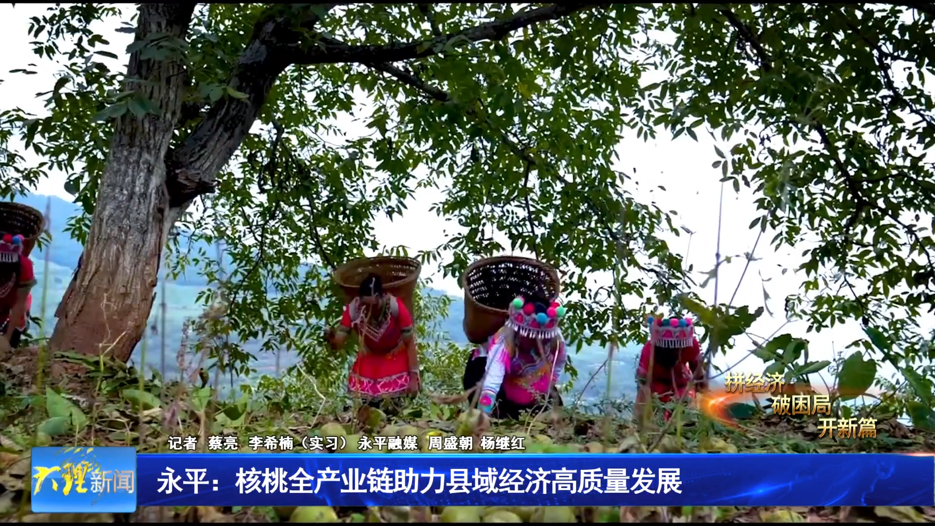 永平核桃全产业链助力县域经济高质量发展