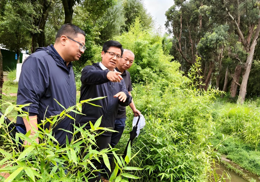 陈真永在阳南溪察看入湖水质_副本.jpg