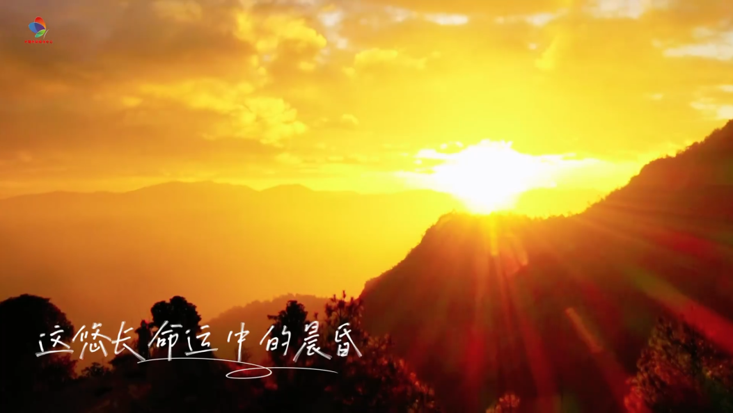 走进云龙 聆听山水与时光的乐章