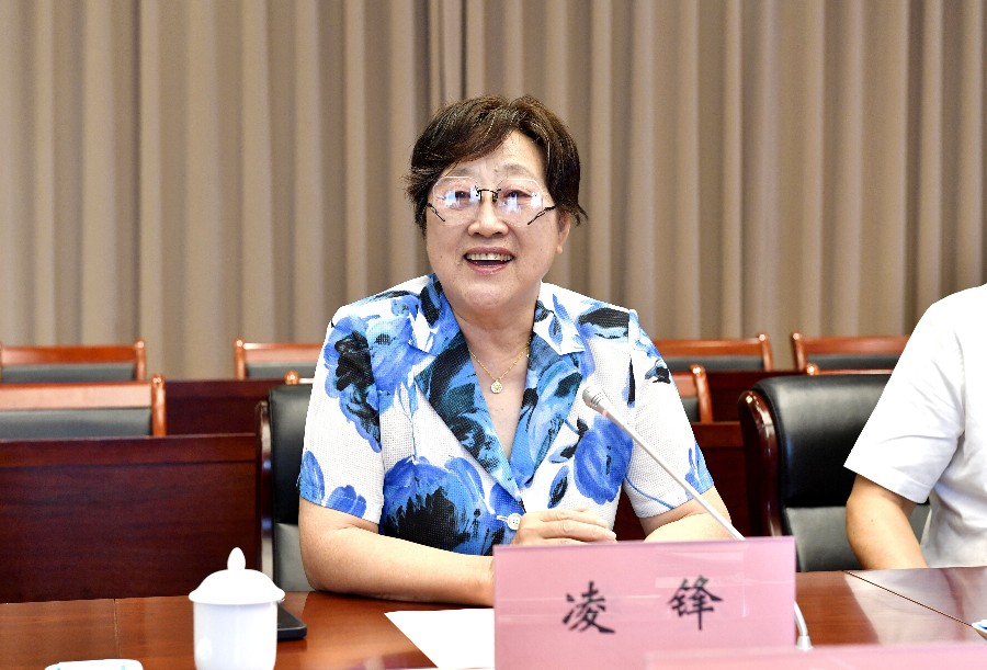 凌锋在座谈会上讲话_proc_副本.jpg