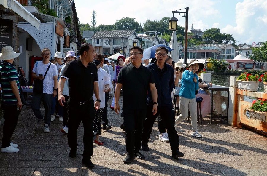 陈真永在大理市调研时强调 优化服务 精细管理 提升品质 着力打造安心舒适的旅游环境