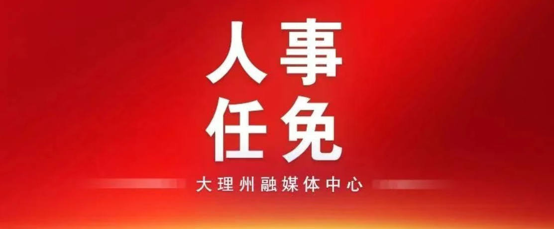 大理州人民政府最新人事任免→