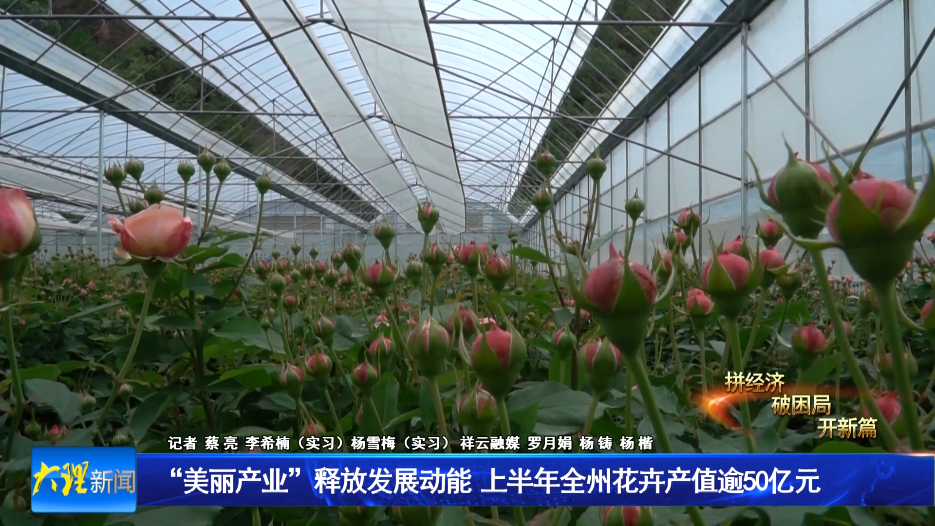 “美丽产业”释放发展动能  上半年全州花卉产值逾50亿元
