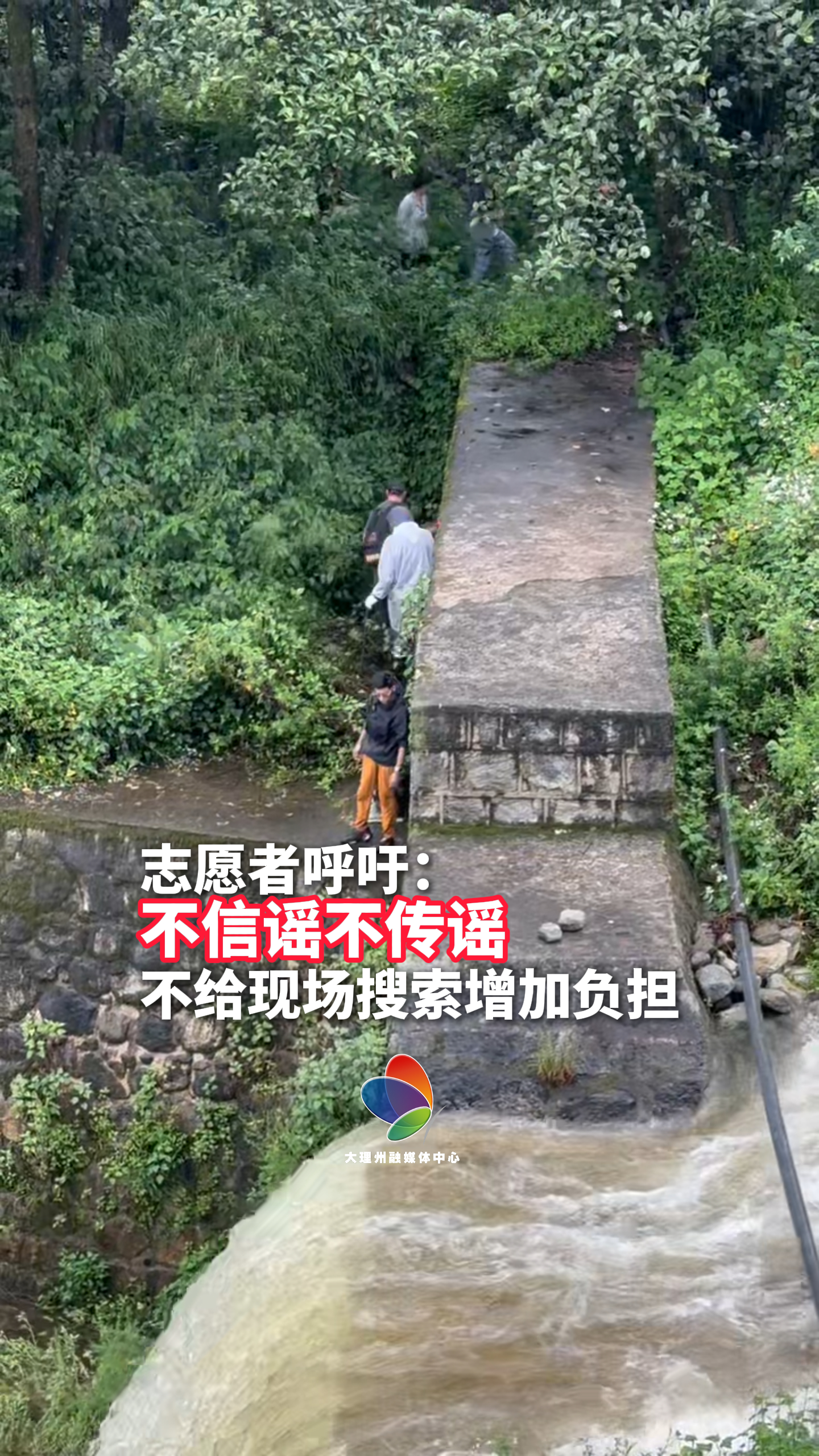 大理走失男孩苍山救援持续进行！呼吁大家不信谣不传谣，不给现场搜救者徒增负担！#8岁男童在大理失联 #自闭症男孩在大理失联