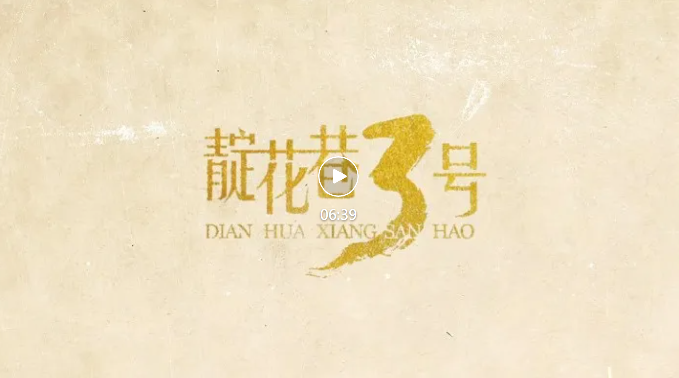 《靛花巷3号》第一集《安南断章》